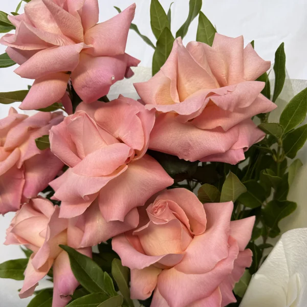 six reasons to love 2