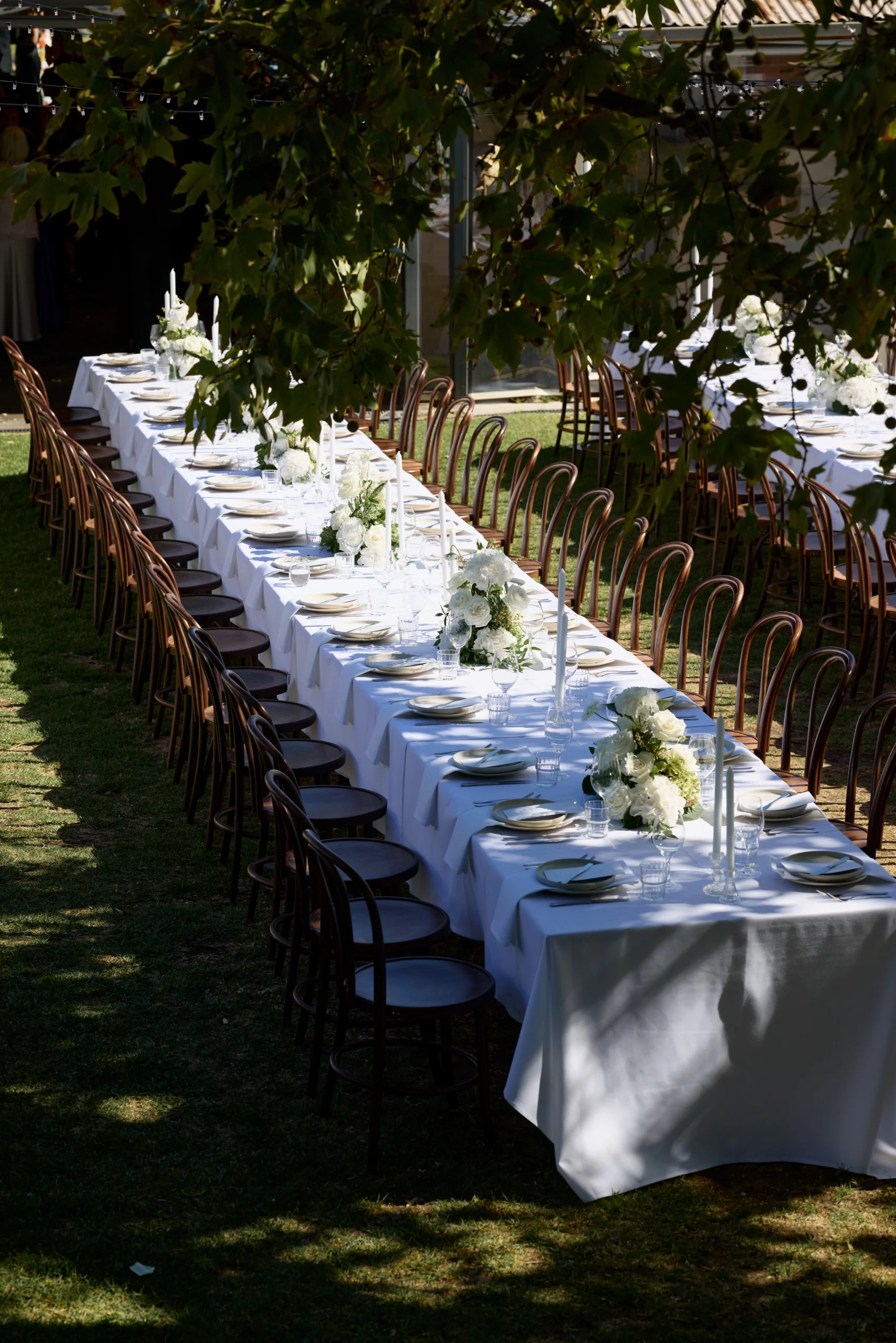 portfolio-details-pic1